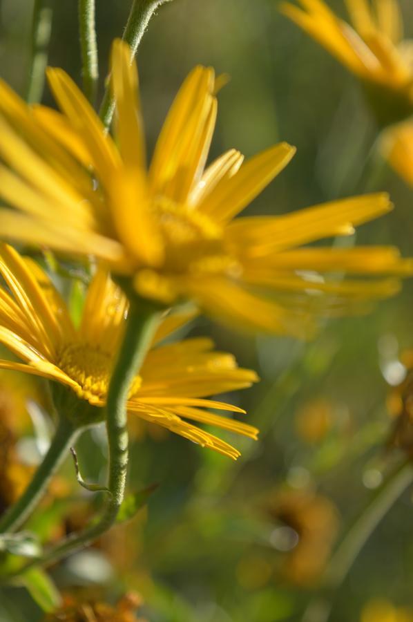 Natur-Aktiv-Hof Thiem Pottenstein Bagian luar foto
